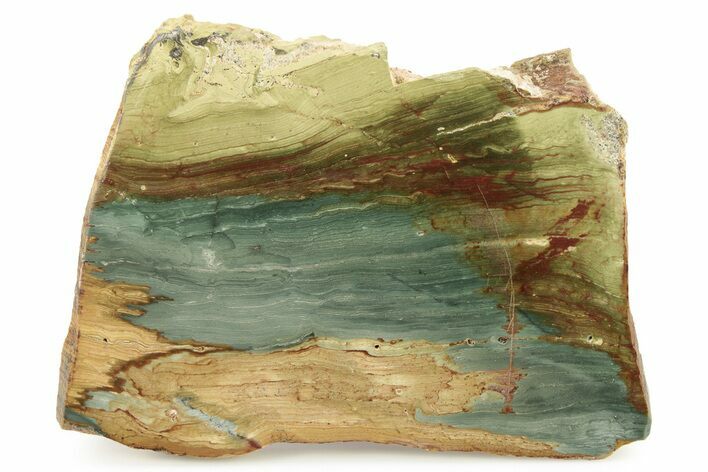 Gary Green Jasper (Larsonite) Bog Wood Slab - Oregon #263352